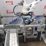 Automated Palletiser Machines In The UK